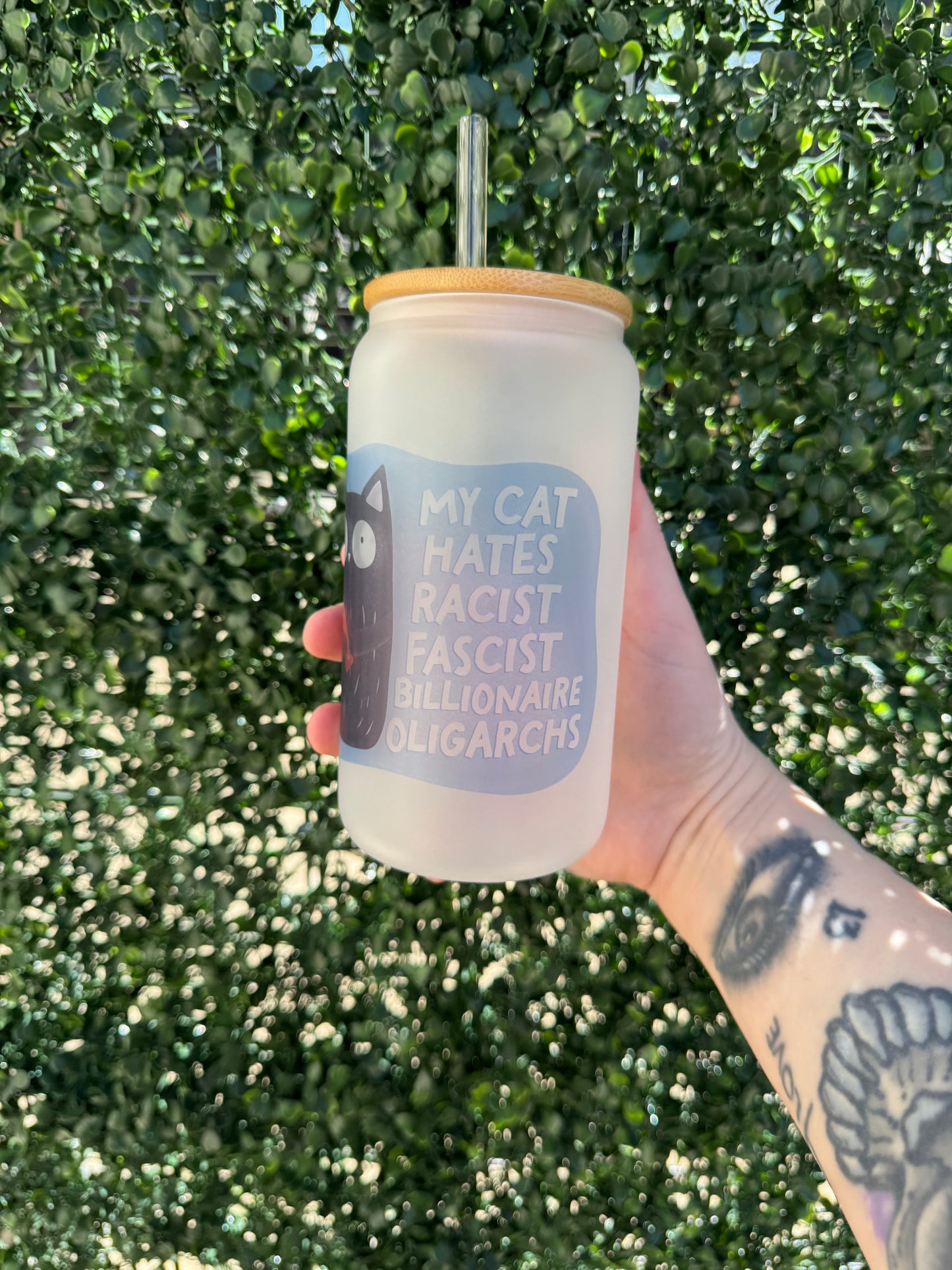 my cat hates racist, fascist, billionare oligarchs (political)